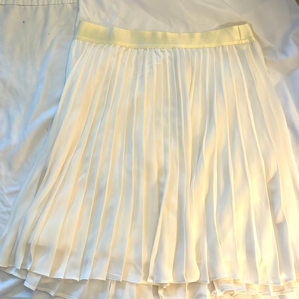 Lined, off white, A line skirt. Express. NWT.